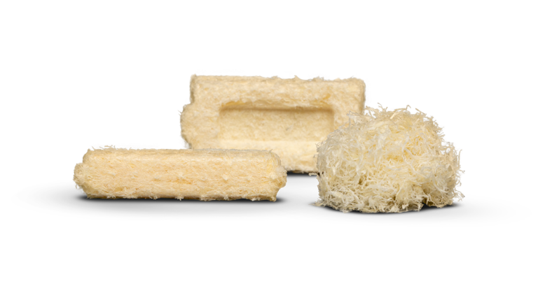 3demin fam e1762803201619