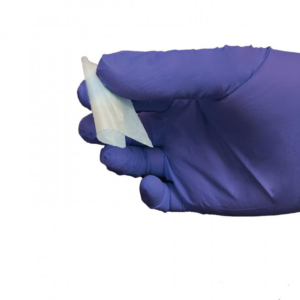 Dual Layer Amniotic Membrane