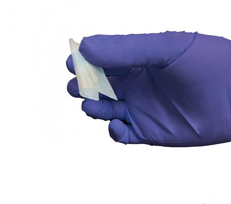 Dual Layer Amniotic Membrane